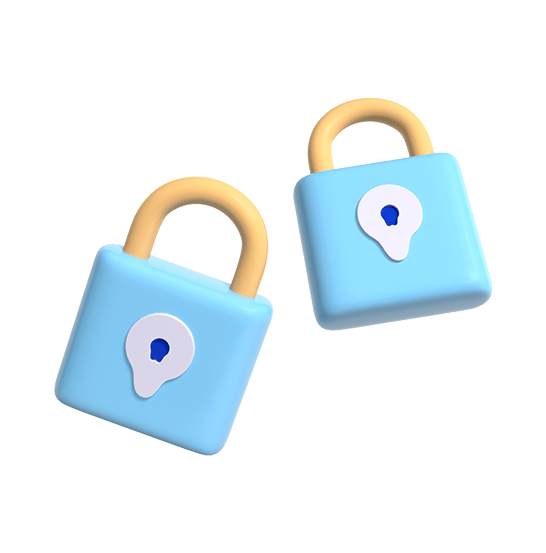 web security